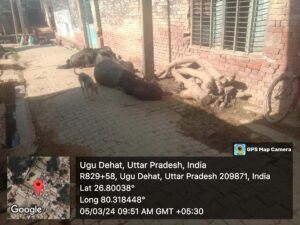 दबंगों द्वारा की जा रहा है सड़क पर अतिक्रमण